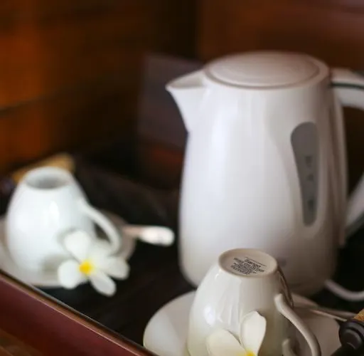 Taman Sari Lembongan 3* レンボンガン島
